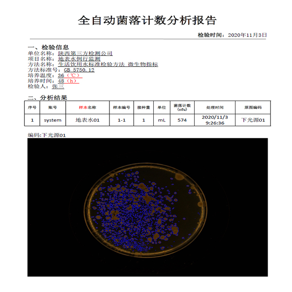 報(bào)告生成.jpg